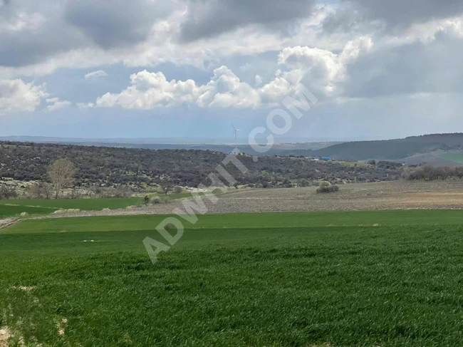 A suitable land with an area of 4,500 square meters in Edirne Enez Çeribaşın.