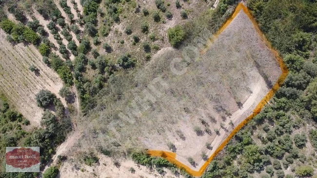 ACİL SATILIK SAKARYA PAMUKOVADA MÜSTAKİL TAPULU ARSA