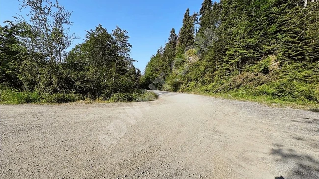 KASTAMONU İNEBOLU ÇİÇEKYAZI'DA KÖY İÇİNDE 620 M2 UYGUN ARSA