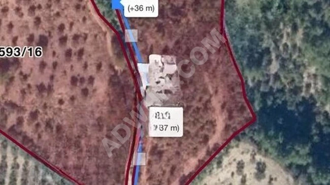 ACİL SATILIK SAKARYA PAMUKOVADA MÜSTAKİL TAPULU ARSA