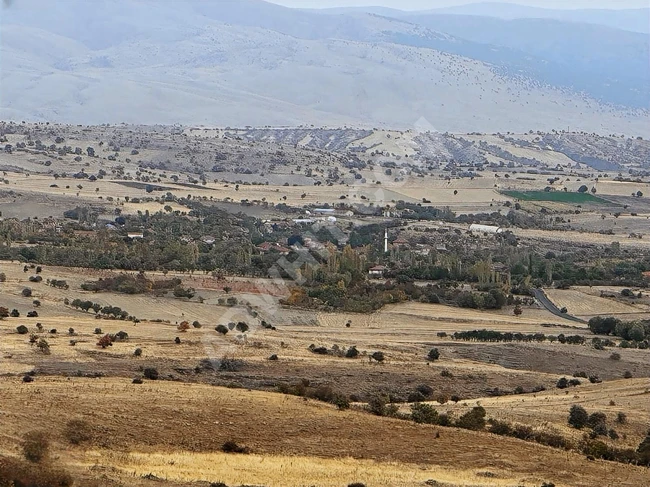 ISPARTA YALVAÇ KÖRKÜLER'DE 43.896 M2 UYGUN ARSA