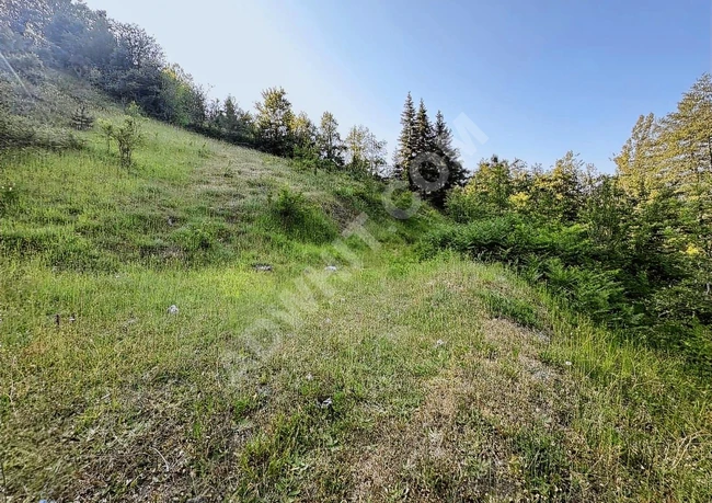 KASTAMONU İNEBOLU ÇİÇEKYAZI'DA KÖY İÇİNDE 620 M2 UYGUN ARSA