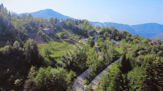 KASTAMONU İNEBOLU ÇİÇEKYAZI'DA KÖY İÇİNDE 426 M2 UYGUN ARSA