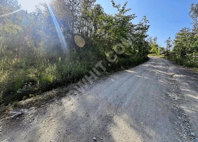 KASTAMONU İNEBOLU ÇİÇEKYAZI'DA KÖY İÇİNDE 426 M2 UYGUN ARSA