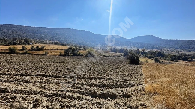 أرض مناسبة بمساحة 18,168 متر مربع على الواجهة للطريق الرئيسي في BALIKESİR SINDIRGI YÜREĞİL