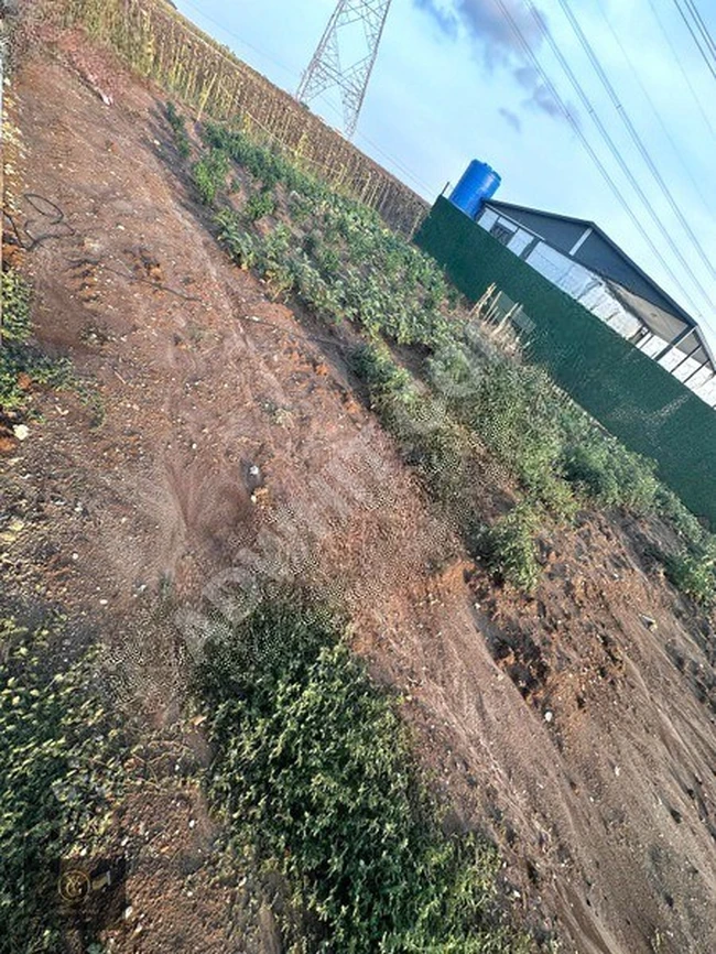 VİLLA TADINDA HAZIR KURULU DENİZE 10 DAKİKA MESAFEDE 600 m2