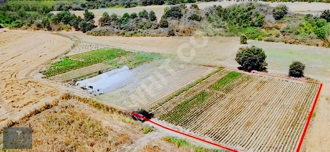 Land for sale directly from the owner at an attractive price in Babaeski Taşağlı.