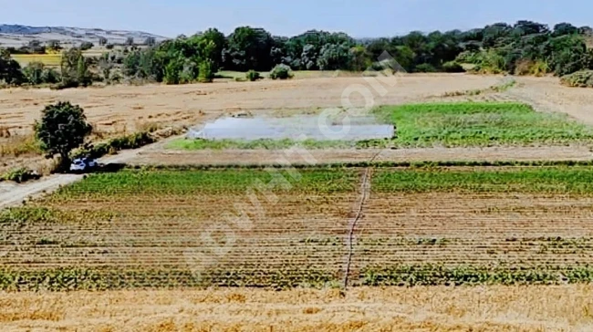 Land for sale directly from the owner at an attractive price in Babaeski Taşağlı.