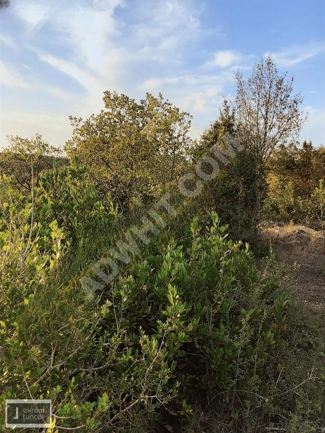 ŞİLE KADIKÖY MAH. SATILIK 1.015 M2 ARSA