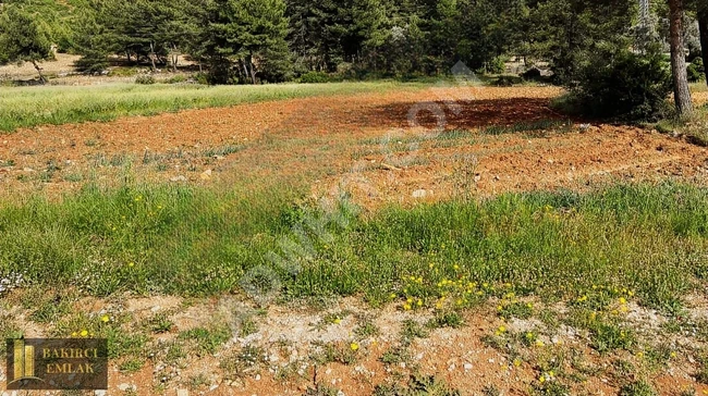 أرض زراعية للبيع بمساحة 6335 متر مربع على واجهة طريق D-400 في FETİYE KAŞ