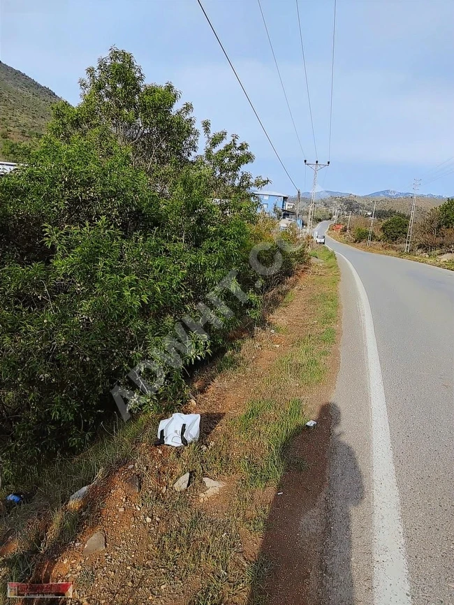 MARAŞ EMLAKTAN ANA YOL KENARI UZUNSÖĞÜT DE SATILIK 5 DÖNÜM BAĞ