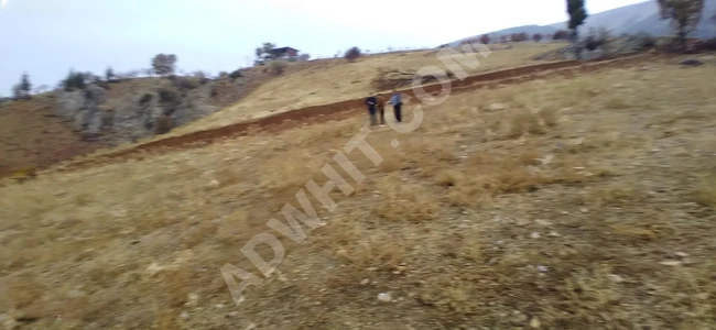 MARAŞ EMLAKTAN KOZLUDERE DE SATILIK 530 M2 TARLA