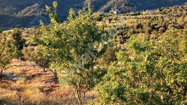 MARAŞ EMLAKTAN YENİ YAPAN DA SATILIK TEK TAPU 3772 M2 ARAZİ