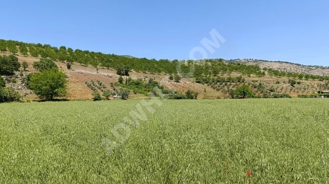 MARAŞ EMLAKTAN SATILIK 3711 METRE KARE TEK TAPU TARLA