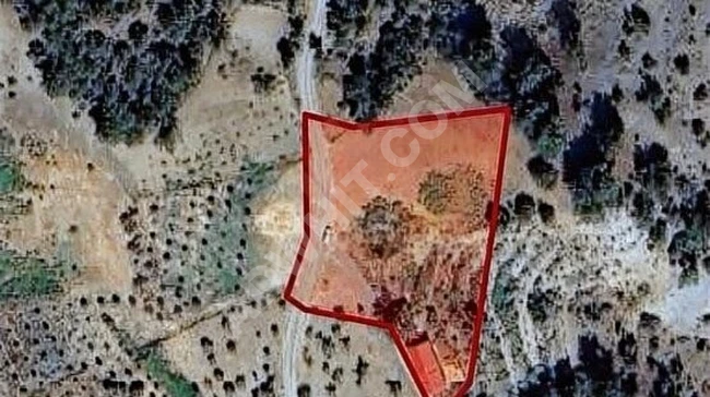 MARAŞ EMLAKTAN SUÇATI -TEKİR ARASI SATILIK TEK TAPU ARAZİ