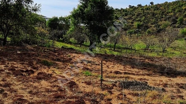 MARAŞ EMLAKTAN ANA YOL KENARI UZUNSÖĞÜT DE SATILIK 5 DÖNÜM BAĞ
