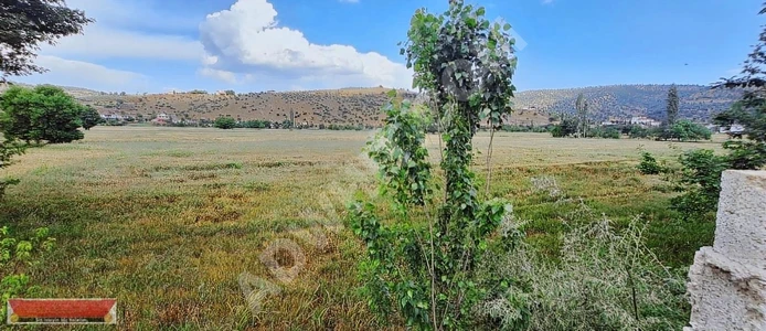 MARAŞ EMLAKTAN AKARSU KENARI 1 DÖNÜM TEK TAPU TARLA