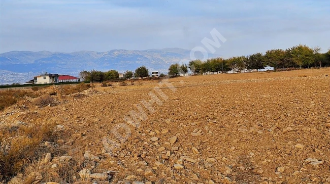 MARAŞ EMLAKTAN ALTINOVA CİVARI SATILIK YERLER