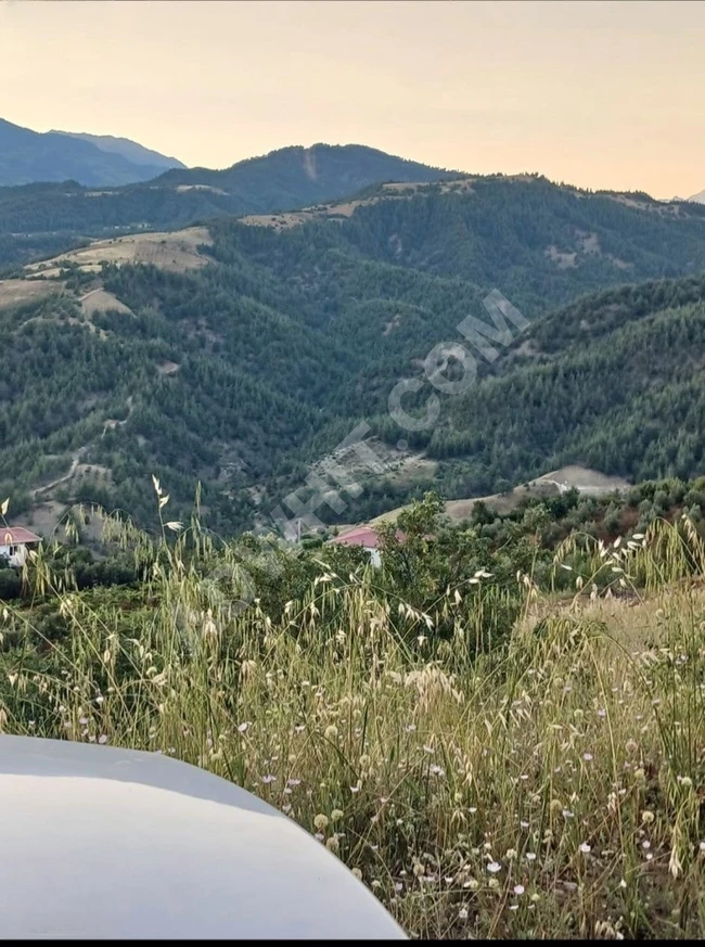 MARAŞ EMLAKTAN YENİ YAPAN DA SATILIK TEK TAPU 3772 M2 ARAZİ