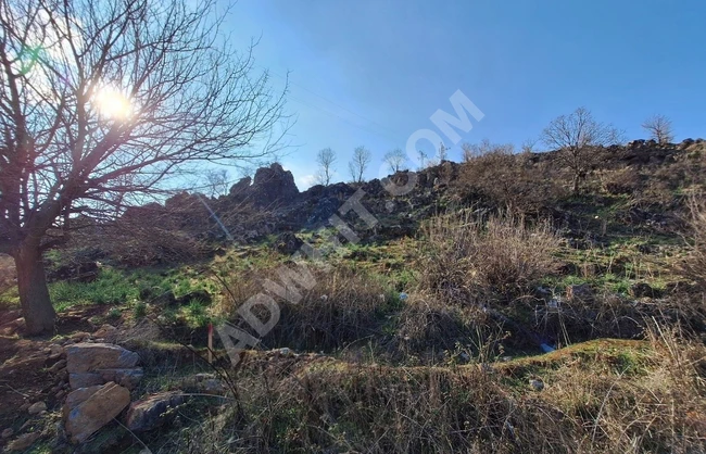MARAŞ EMLAKTAN SATILIK 3711 METRE KARE TEK TAPU TARLA