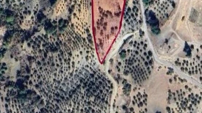 MARAŞ EMLAKTAN DERELİ DE SATILIK 9 DÖNÜM TEK TAPU BAĞ