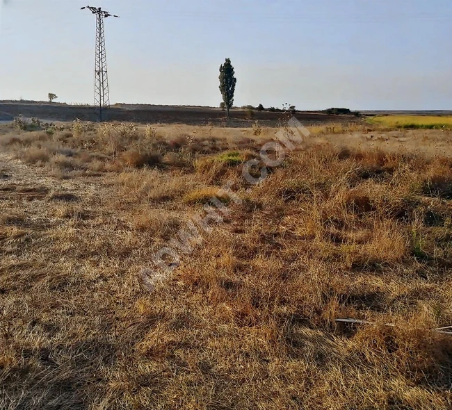 MEHAL YAPIDAN ENEZ YOLU ÜSTÜNDE FIRSAT İMARLI ARSA SON PARSEL!!!