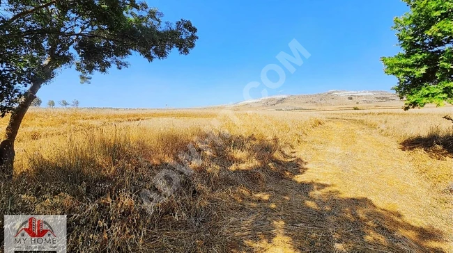ارض للبيع فرصة بالقرب من قناة ARNAVUTKÖY ، في HACIMAŞLI، بجوار مشاريع TOKİ .
