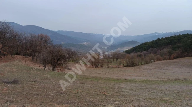 قطعة أرض رائعة في Bolu Mudurnu Taşkestimuhtşem