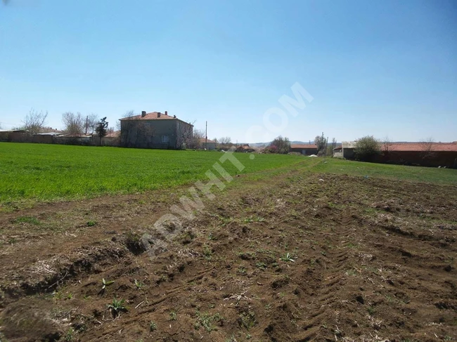 Land for sale with an area of 5,500 square meters. Next to the planning area, inside the village in TEKİRDAĞ MALKARA YAYLAGÖNE.
