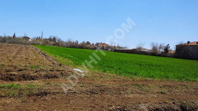 Land for sale with an area of 5,500 square meters. Next to the planning area, inside the village in TEKİRDAĞ MALKARA YAYLAGÖNE.