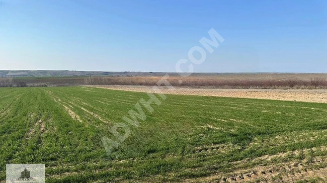 أرض زراعية بمساحة 24,000 متر مربع مطلة على الطريق للبيع في BABAESKİ KARACAOĞLAN