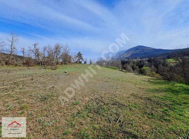 Sakarya Pamukova Kamaliya, 18 decares 726 square meters agricultural land within the village.