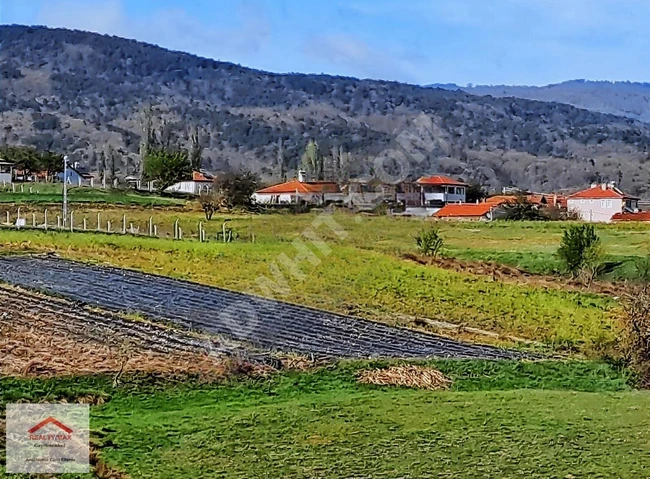 Sakarya Pamukova Kamaliya, 18 decares 726 square meters agricultural land within the village.