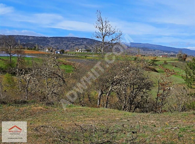 Sakarya Pamukova Kamaliya, 18 decares 726 square meters agricultural land within the village.
