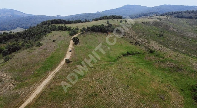 BURSA İZNİK 120 BİN 880 METRE GÖL MANZARALI SATILIK