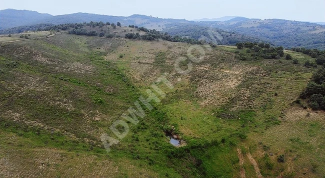 BURSA İZNİK 120 BİN 880 METRE GÖL MANZARALI SATILIK