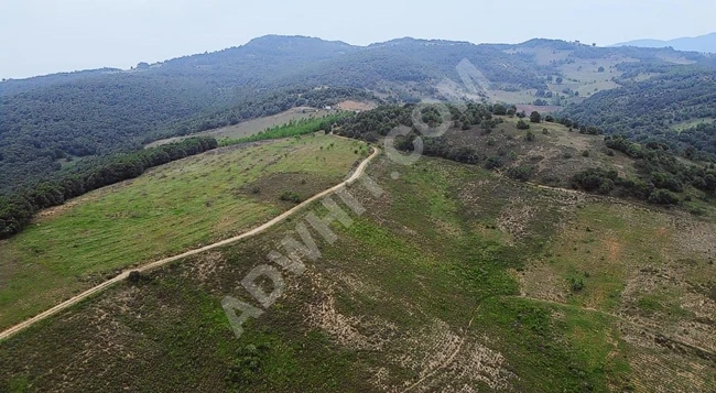 BURSA İZNİK 120 BİN 880 METRE GÖL MANZARALI SATILIK
