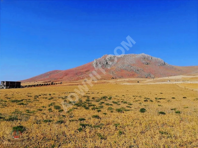 YOL KENARI 11 DÖNÜM