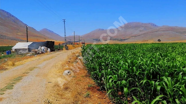 YOL KENARI 11 DÖNÜM