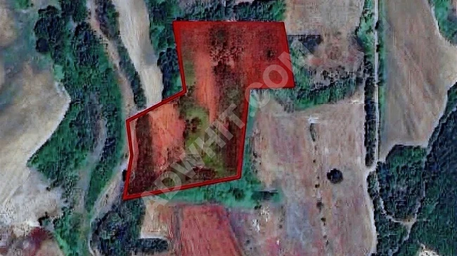 2 TAPU 1550 m2 ister AYRI VEYA YEK TEK SATILIR ACİL