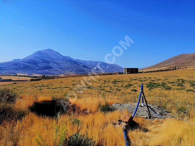 YOL KENARI 11 DÖNÜM