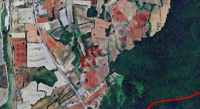 2 TAPU 1550 m2 ister AYRI VEYA YEK TEK SATILIR ACİL