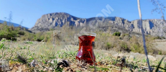 ارض زراعية بمساحة 2089 متر مربع مطل على الجبل والطبيعة