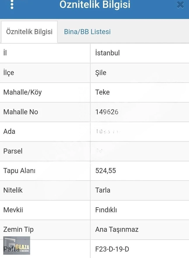 قطعتان أرض للبيع بسعر قطعة واحدة في ŞİLE TEKE