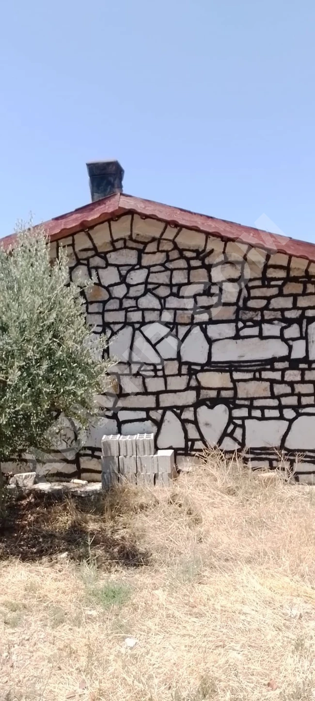 Sarayköy Bala Mh. Gedikli Çay'da Kaçırılmayacak Fırsat!