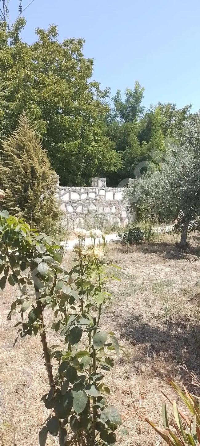 Sarayköy Bala Mh. Gedikli Çay'da Kaçırılmayacak Fırsat!