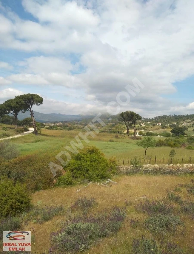 A villa plot with an area of 1700 square meters interwoven with nature in MUĞLA MİLAS.
