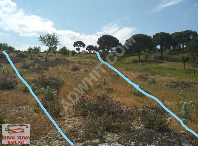 A villa plot with an area of 1700 square meters interwoven with nature in MUĞLA MİLAS.