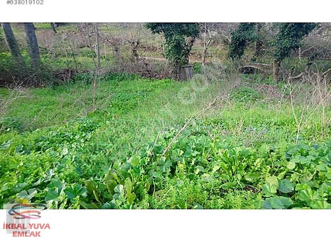 BALIKESIR GÖNEN DE SATILIK KAFA DİNLEMELİKBOL OKSİJEN TARLA