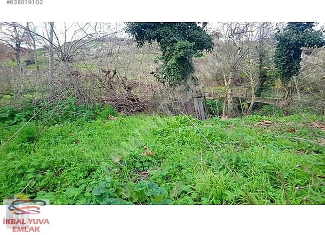 BALIKESIR GÖNEN DE SATILIK KAFA DİNLEMELİKBOL OKSİJEN TARLA